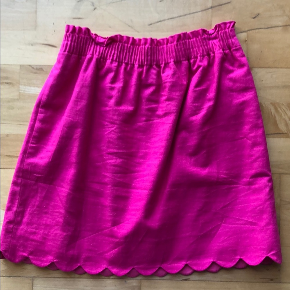 J Crew Skirt